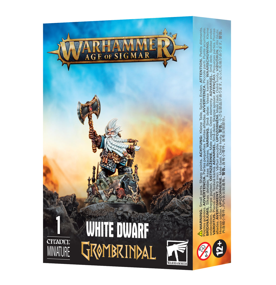 AOS - Grombrindal, the White Dwarf